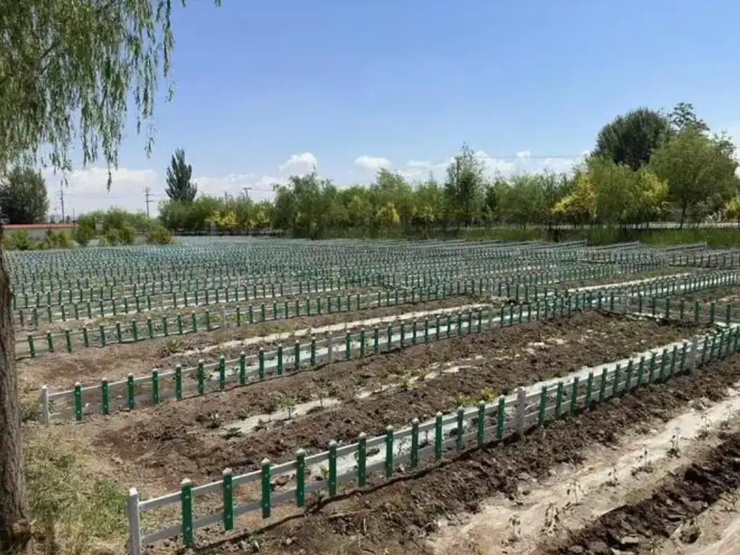 零基础学起，720全景摄影完全入门手册